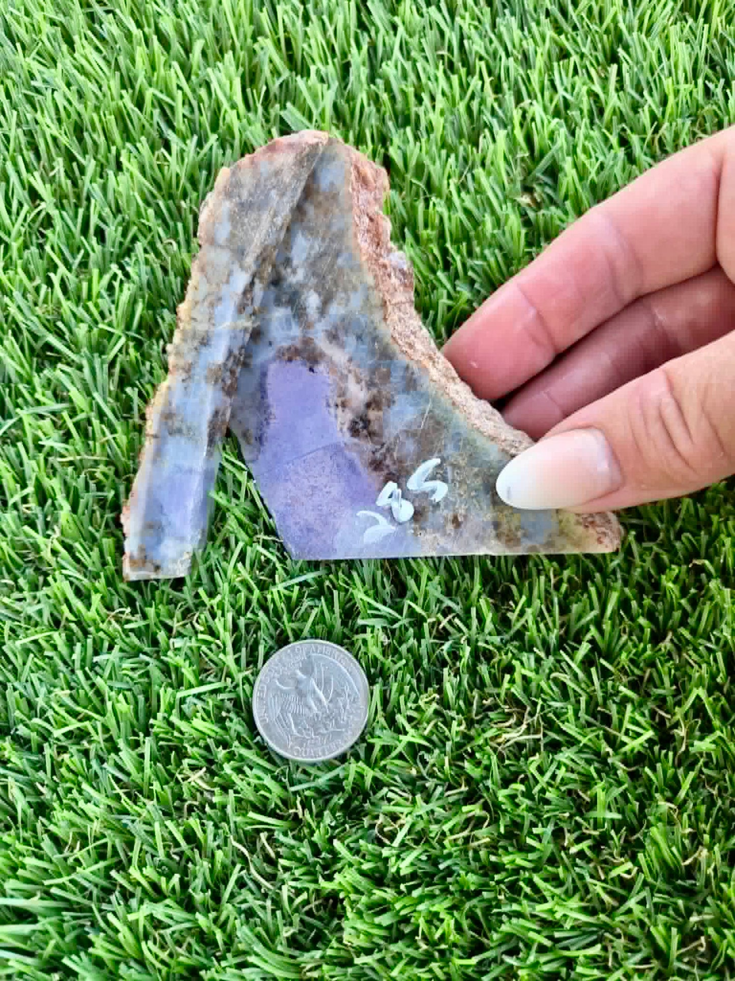 Purple Burro Creek Agate Slab F281-286