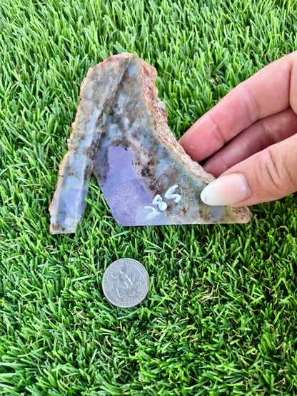 Purple Burro Creek Agate Slab F281-286