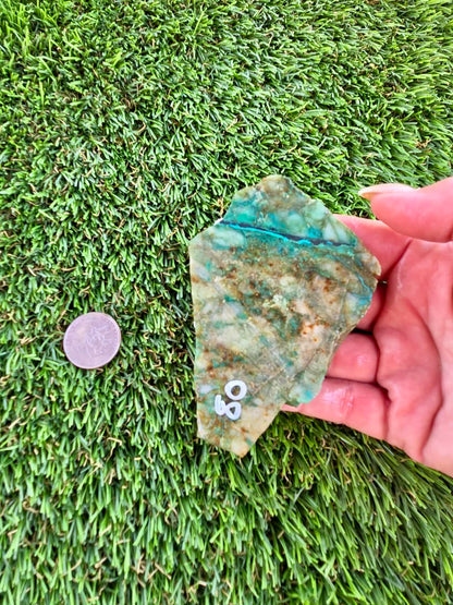 Globe Chrysocolla Slabs B79-84