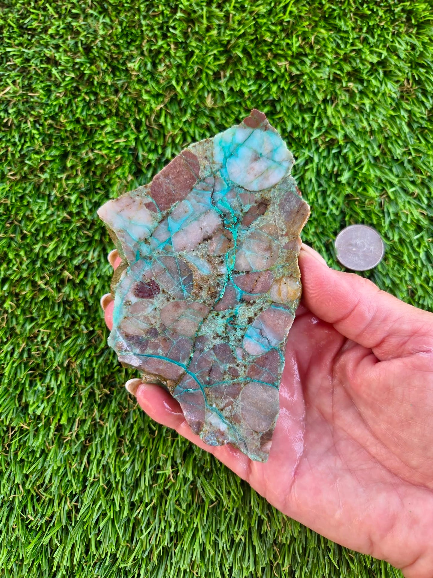 Desert Mosaic Puddingstone with Malachite Slabs A46-49