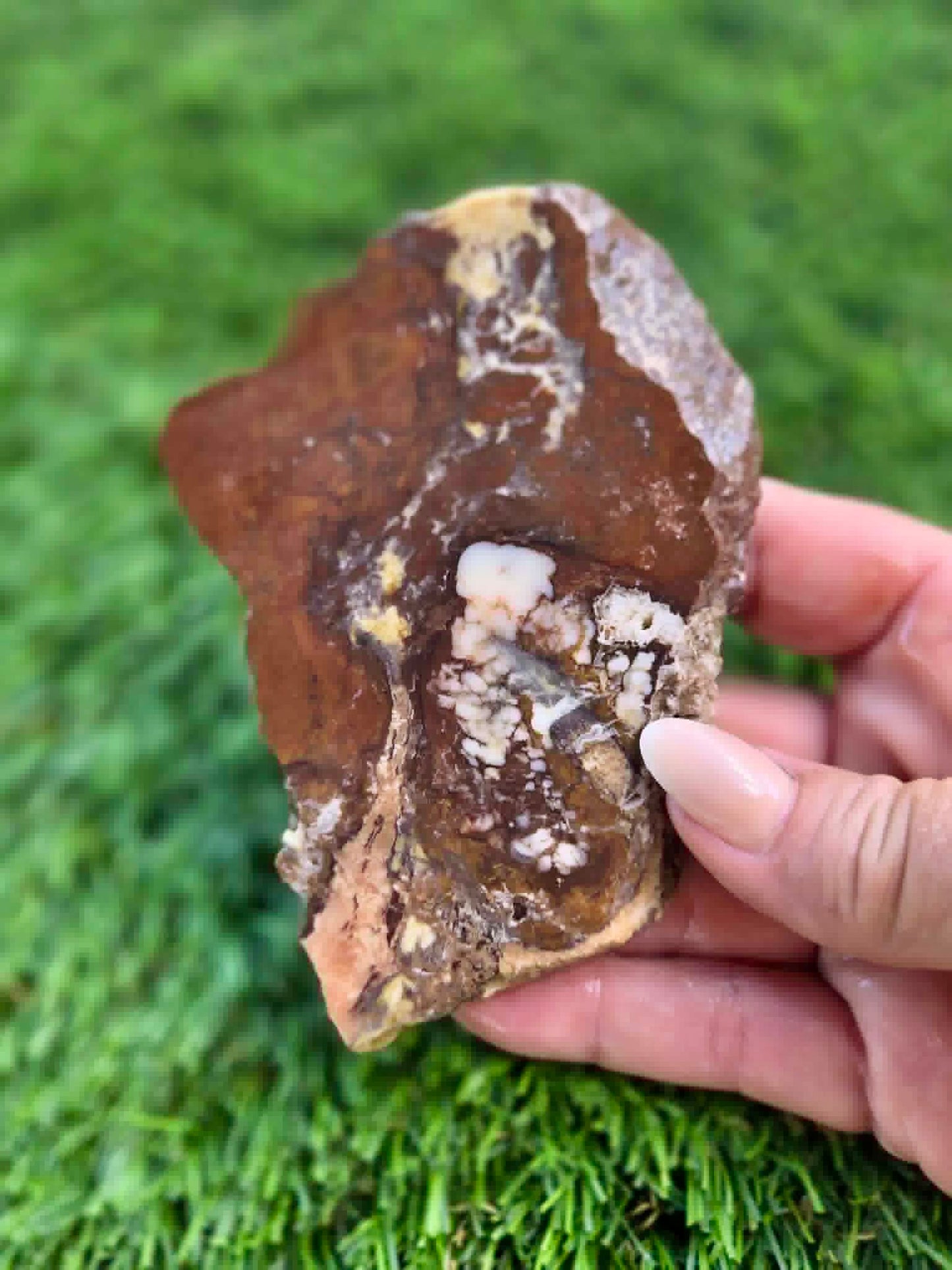Wild Horse Jasper Slabs G338-341