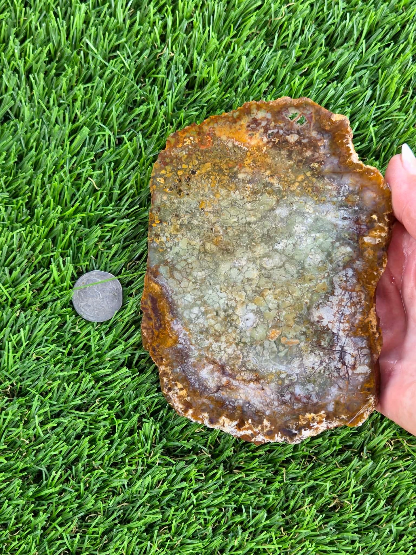 Brecciated Jasper Slabs N658-660