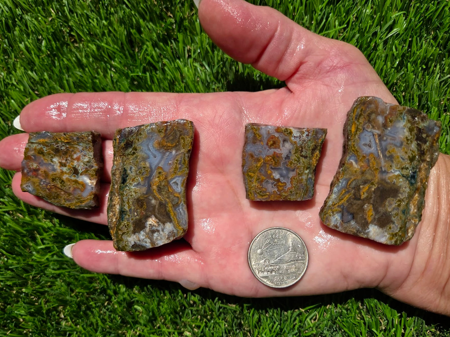 Agate Moss – Camp Verde Slab Bundle SB101