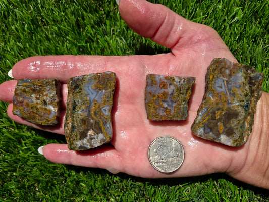 Agate Moss – Camp Verde Slab Bundle SB101