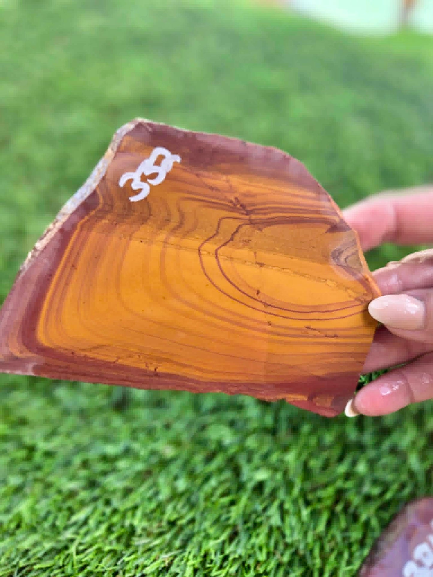Desert Picture Jasper Slabs G332-334
