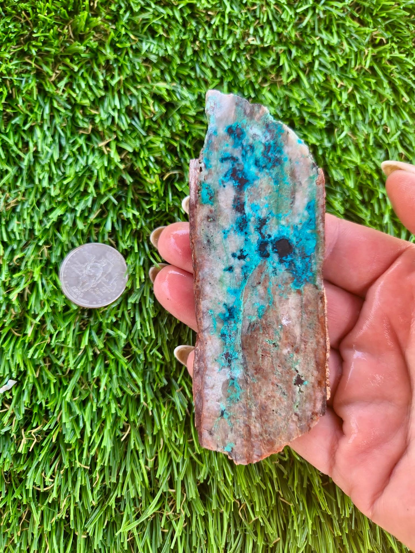 Shattuckite Slabs B95-100