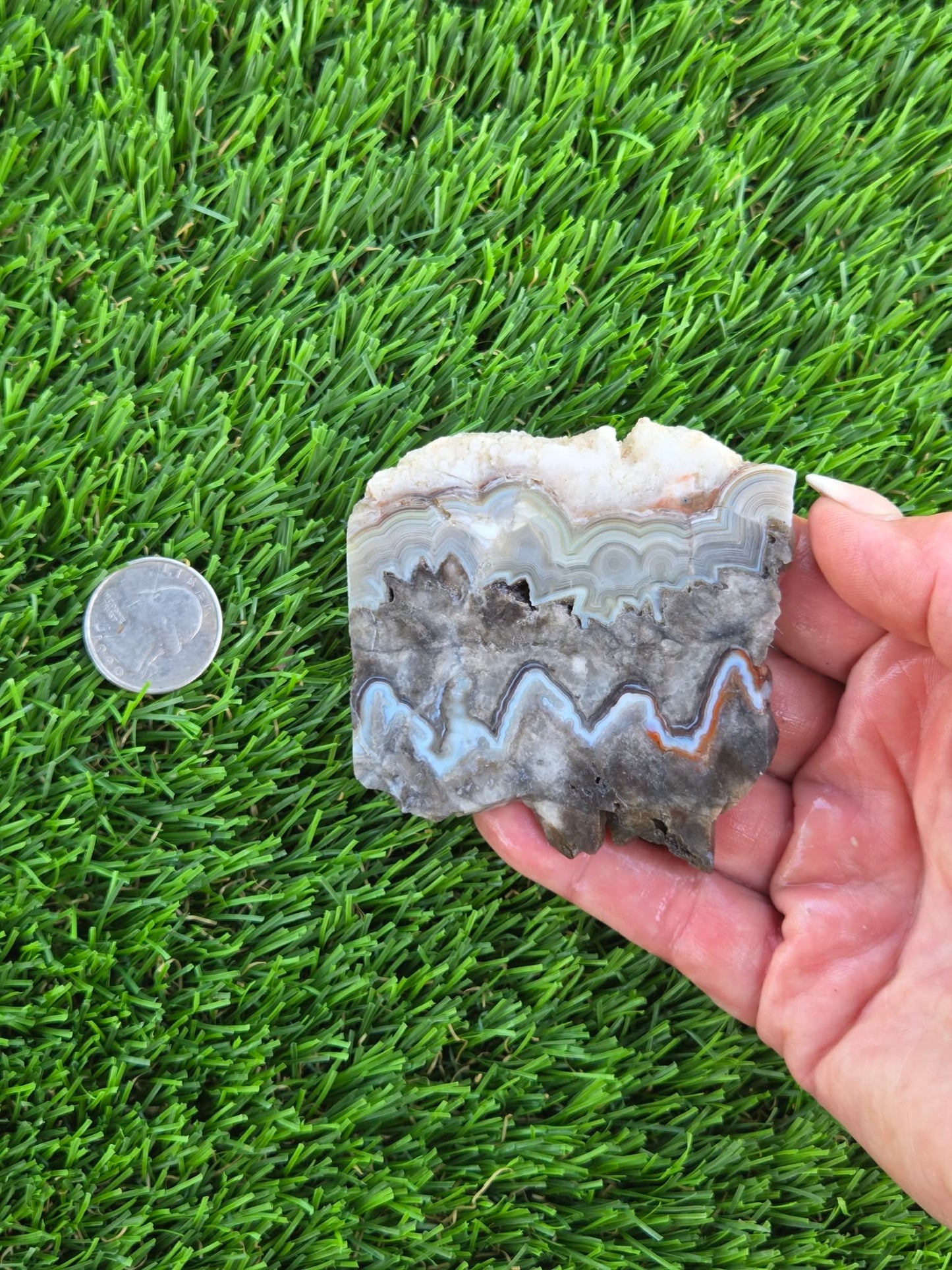 Gray Banded Crazy Lace Agate Slabs O717–723