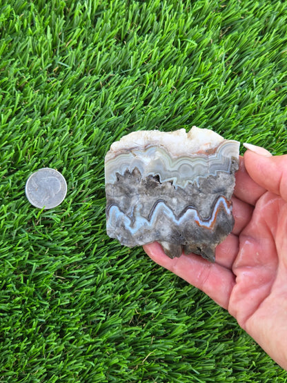 Gray Banded Crazy Lace Agate Slabs O717–723