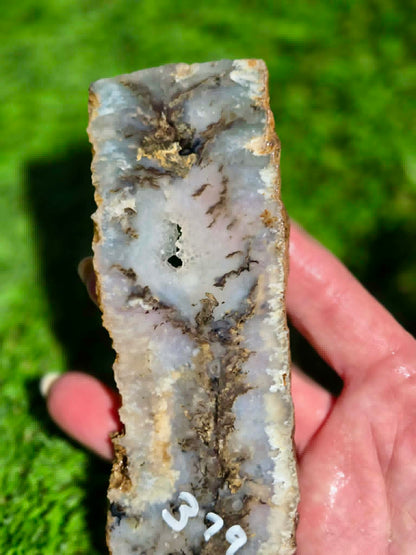Graveyard Point Agate Slabs H379-384