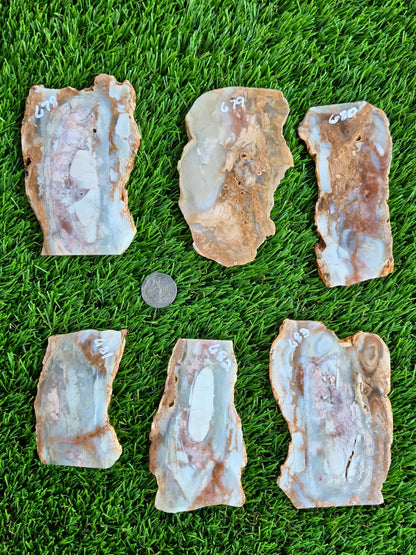 Peach, Cream & Gray Banded Agate Slabs N678-683
