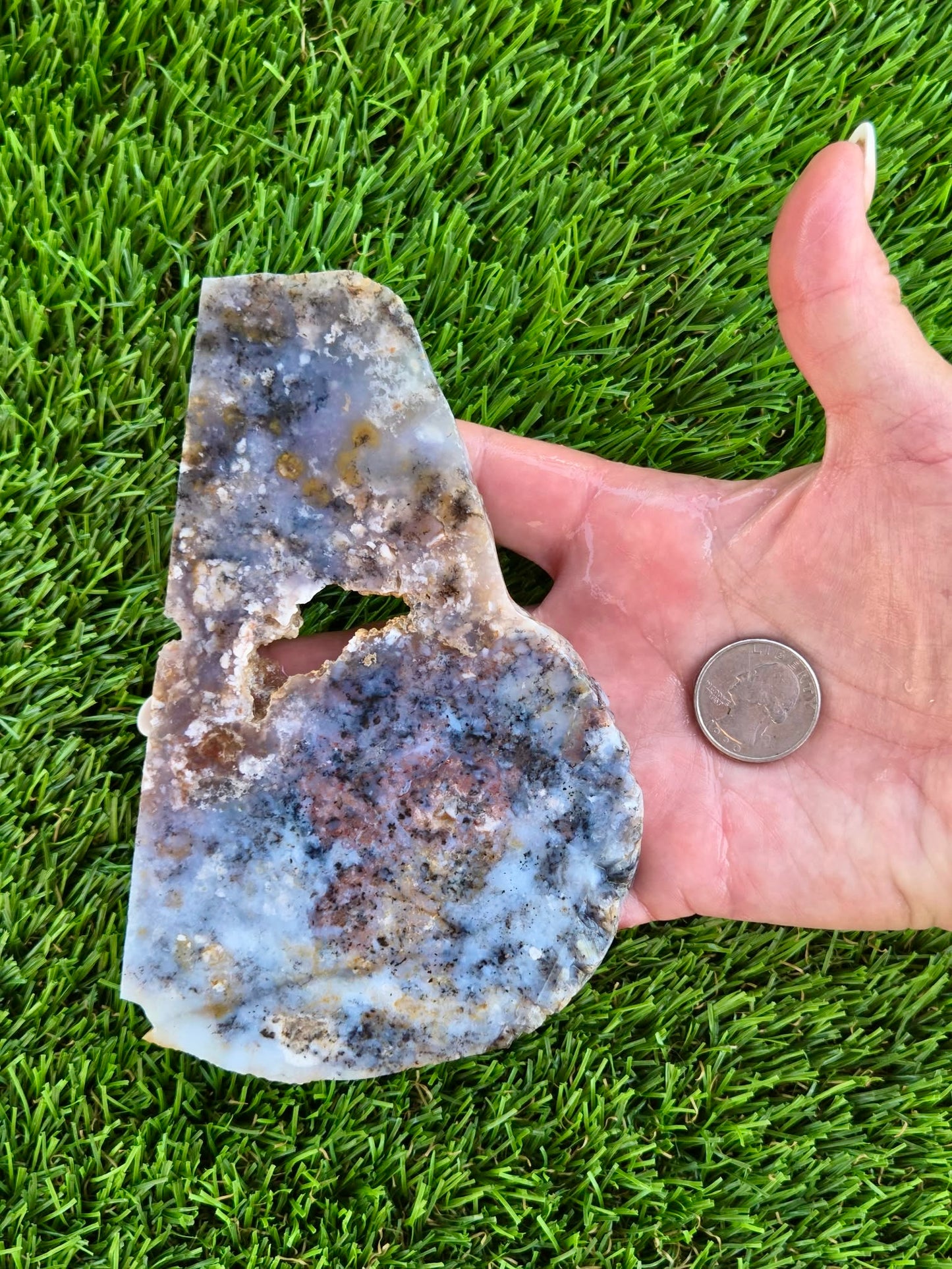 Moss Agate with Dendritic Inclusions Slabs Q799–800