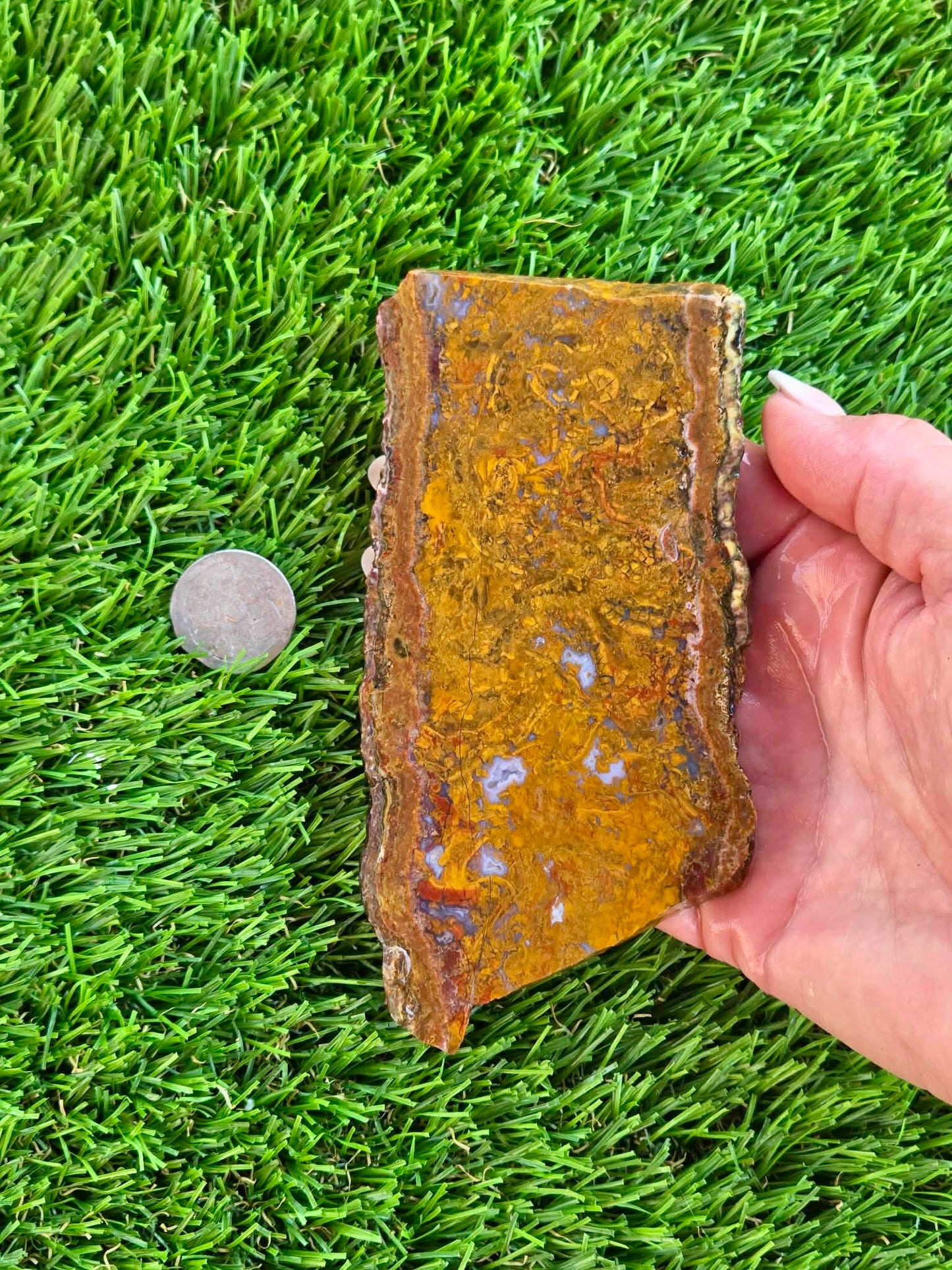 Plume Moss Agate Slabs L553-556