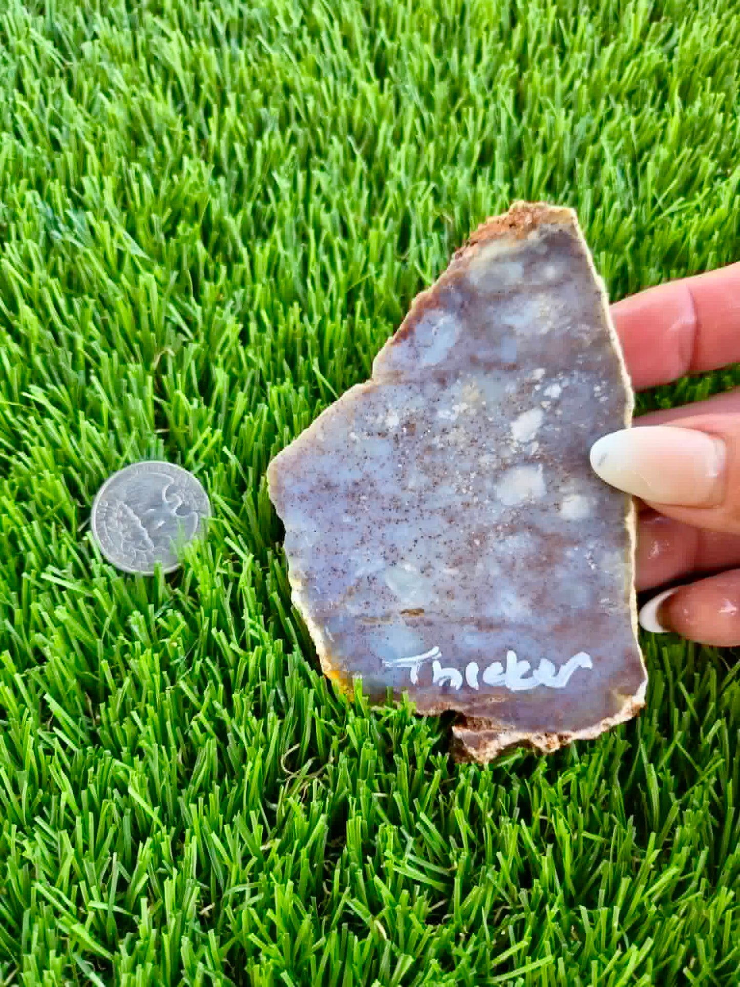Purple Burro Creek Agate Slab F287-292