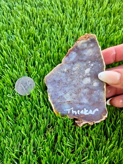 Purple Burro Creek Agate Slab F287-292