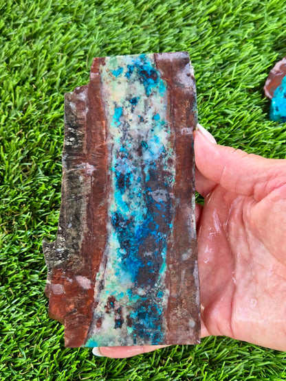 Shattuckite Slabs B107-112