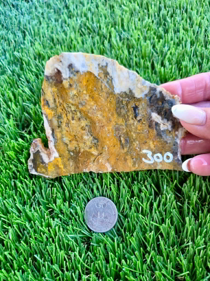 Iron-rich jasper/chalcedony with quartz Slabs F297-301