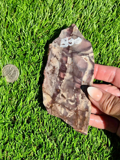 Picasso Jasper Slabs J497-502