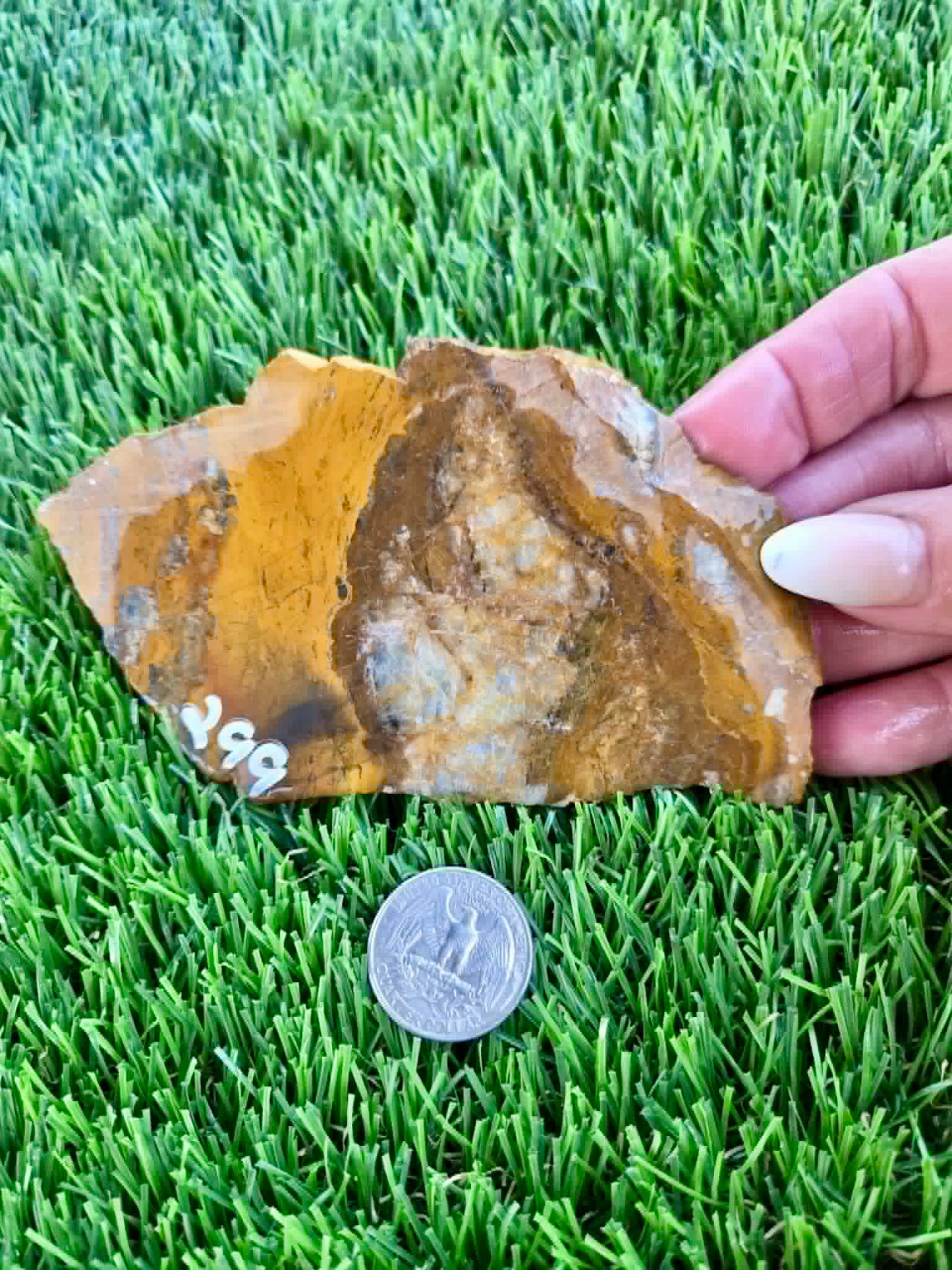 Iron-rich jasper/chalcedony with quartz Slabs F297-301