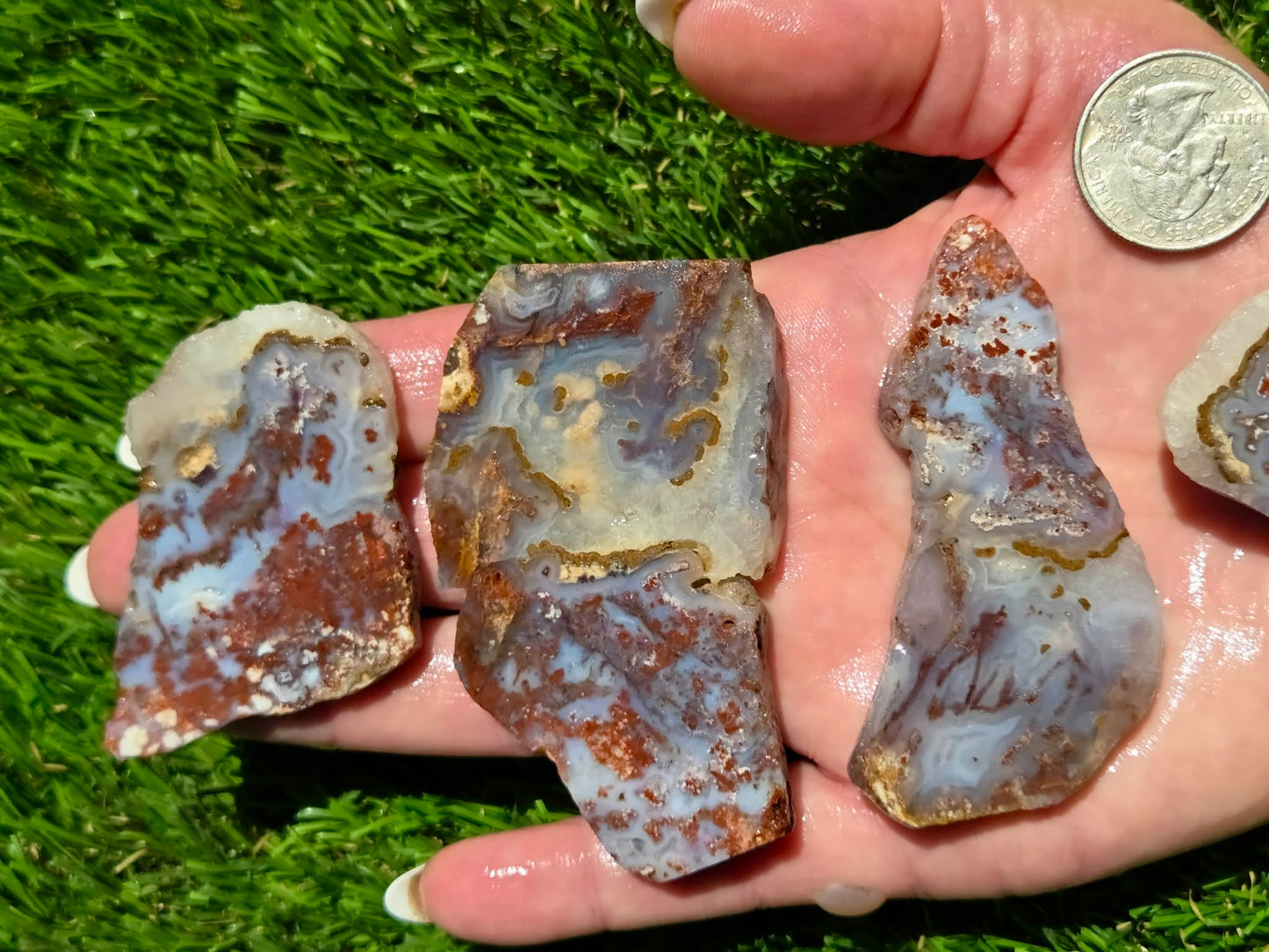 Camp Verde Agate Slab Bundle SB117