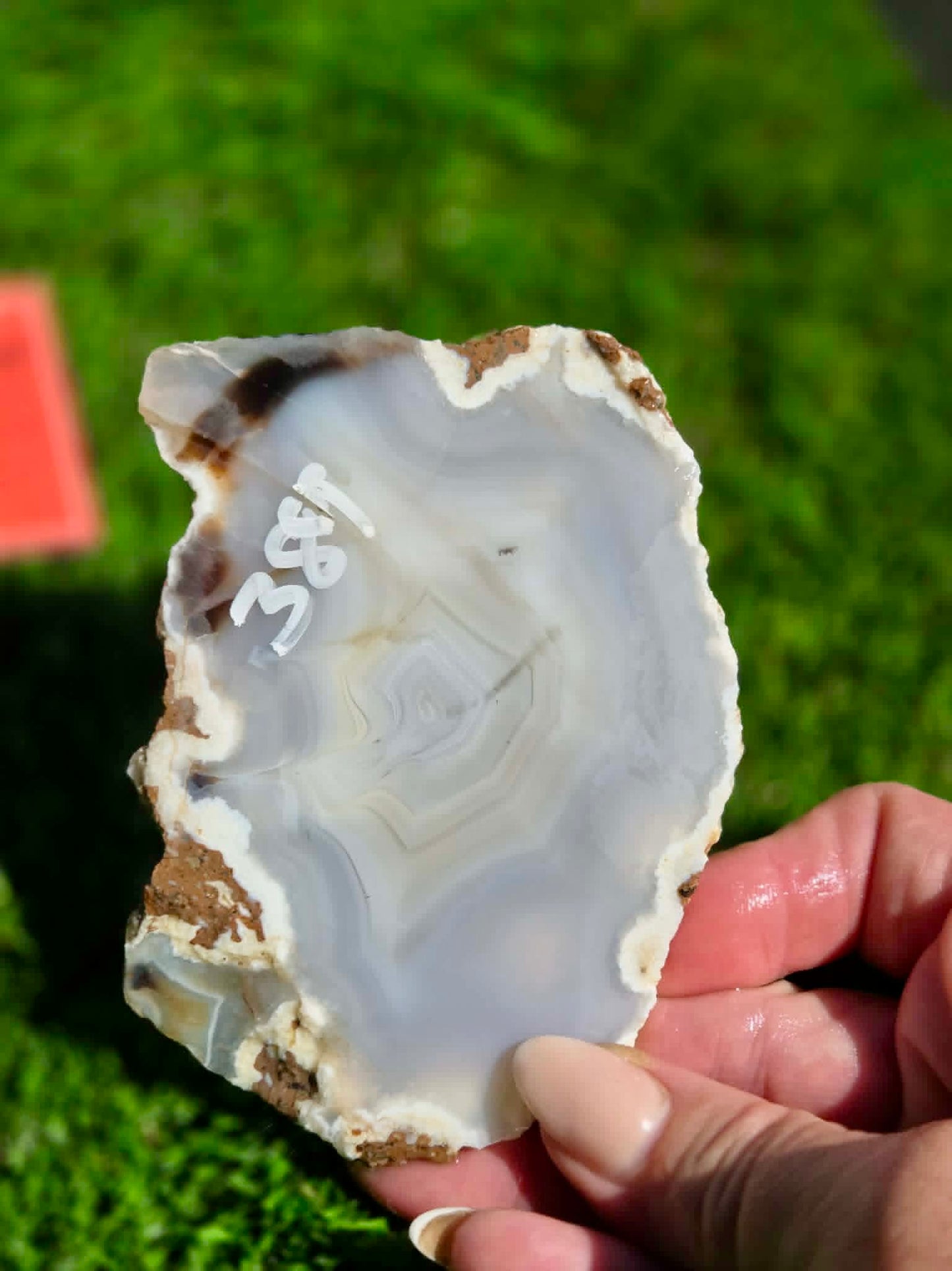 Blue Luna Agate Slabs H385-390