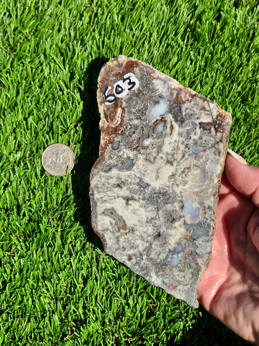 Camp Verde Agate J503-505