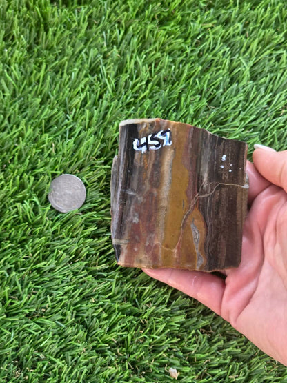 Agatized Petrified Wood Slab I453-458