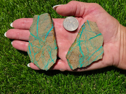 Globe Chrysocolla Slab Bundle-SB104