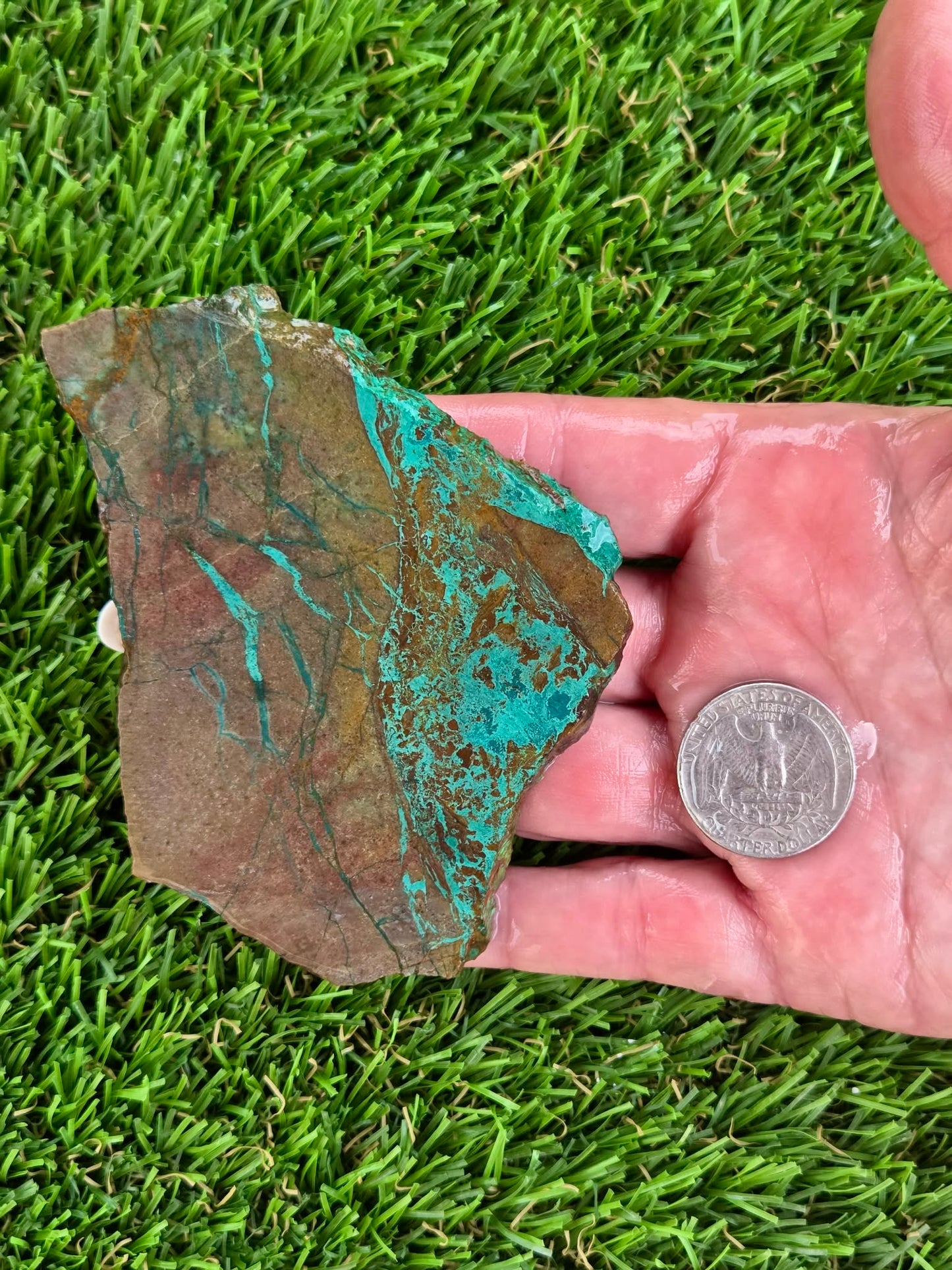Globe Chrysocolla & Malachite Slabs R859–863