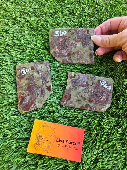 Green Mushroom Rhyolite Slabs G360-362