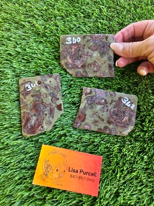 Green Mushroom Rhyolite Slabs G360-362