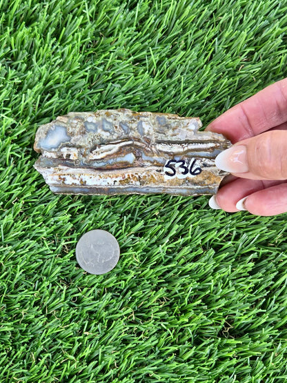 Camp Verde Agate Slabs  K534-537