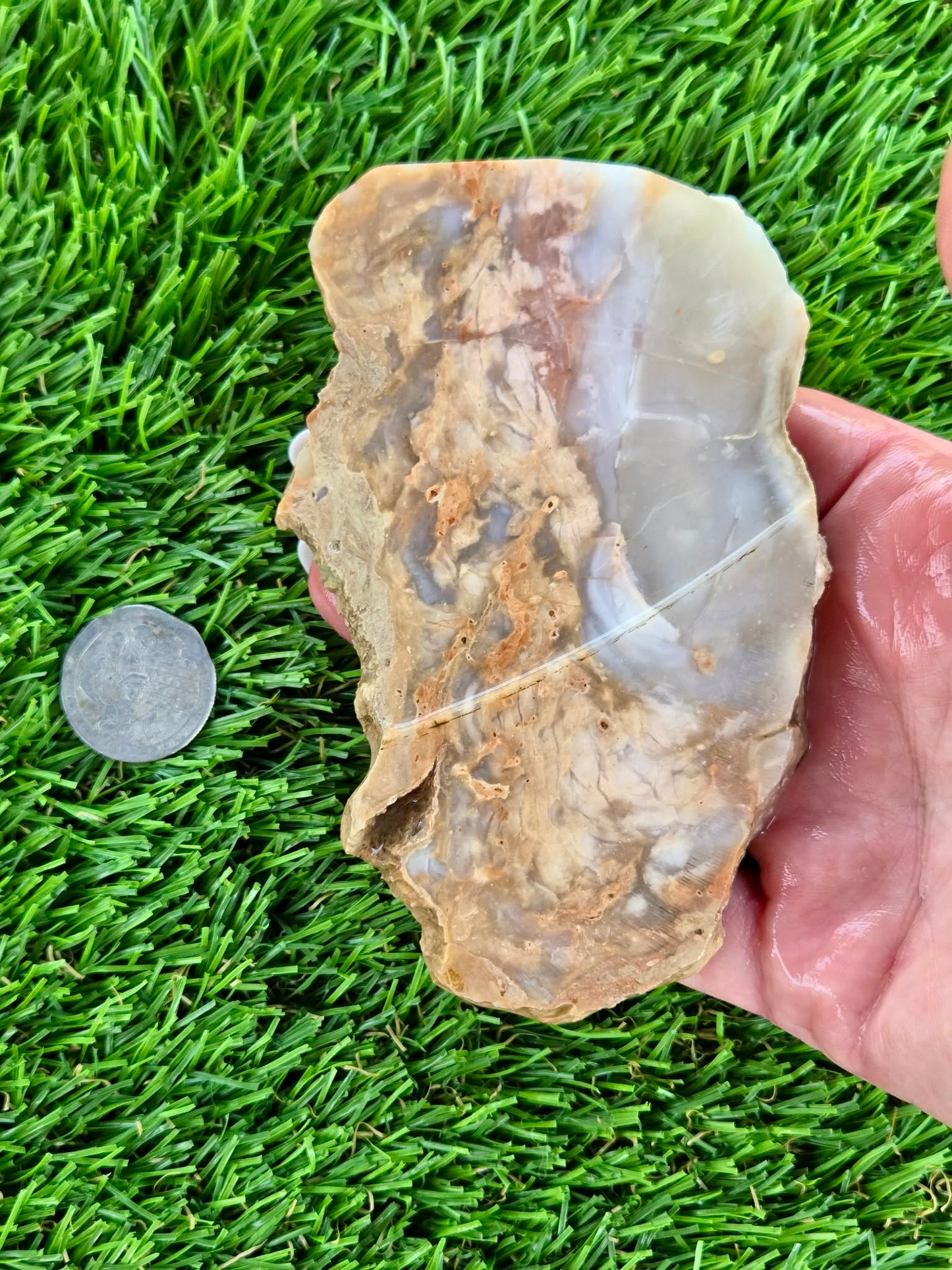 Peach, Cream & Gray Banded Agate Slabs N678-683