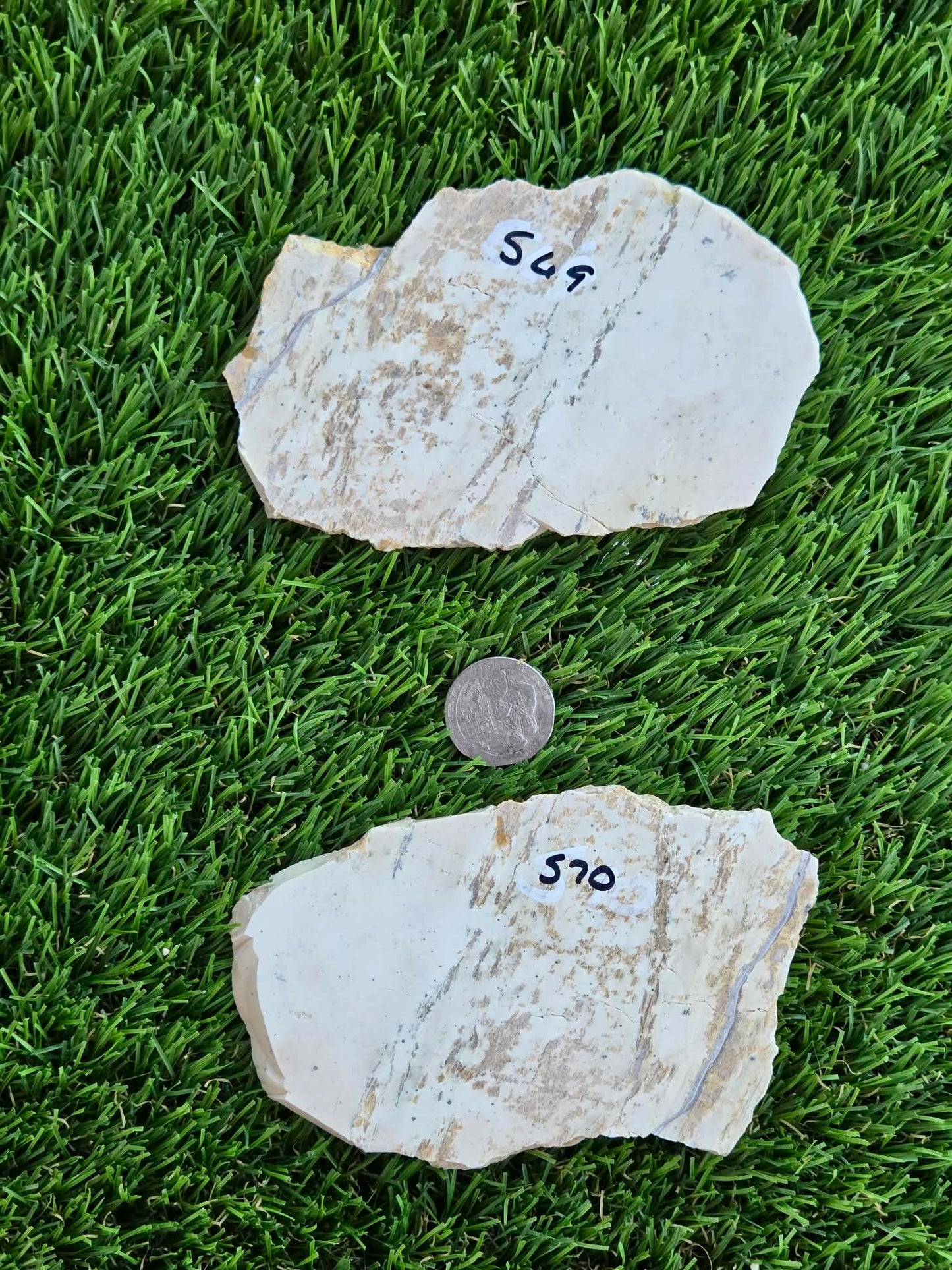 Picture Agate Slabs L569-570