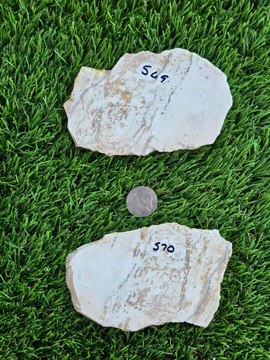 Picture Agate Slabs L569-570
