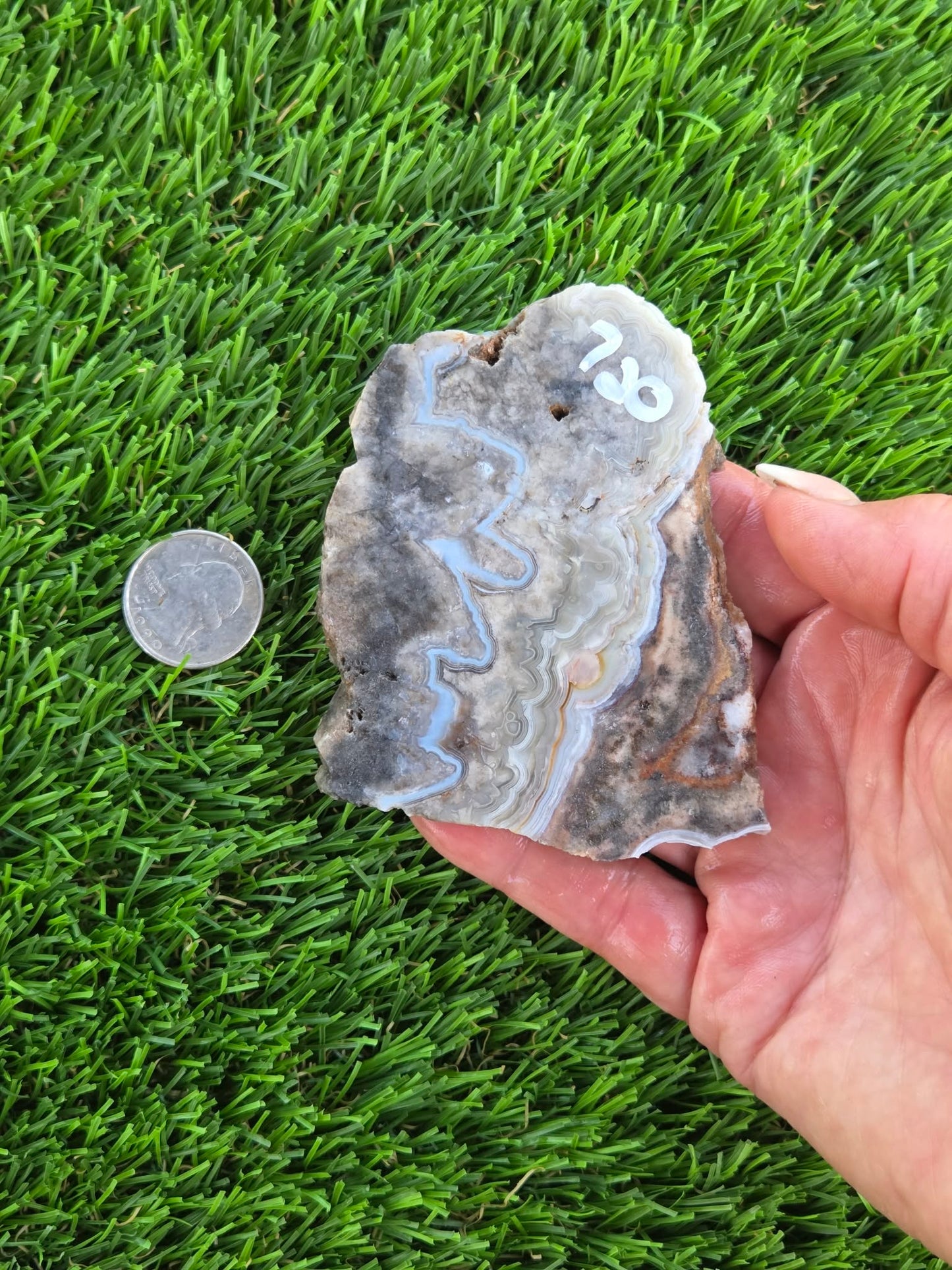 Gray Banded Crazy Lace Agate Slabs O717–723