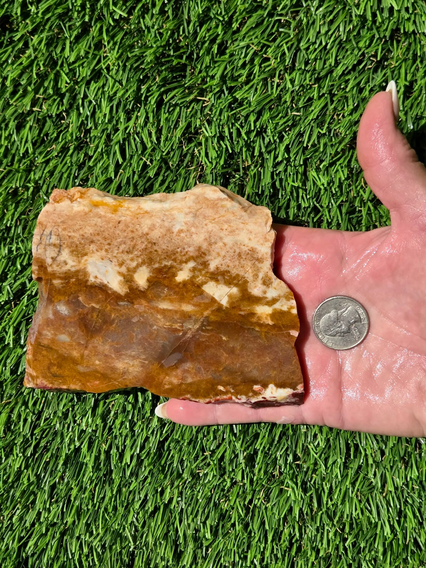 Burro Creek Jasper Slabs R841–847