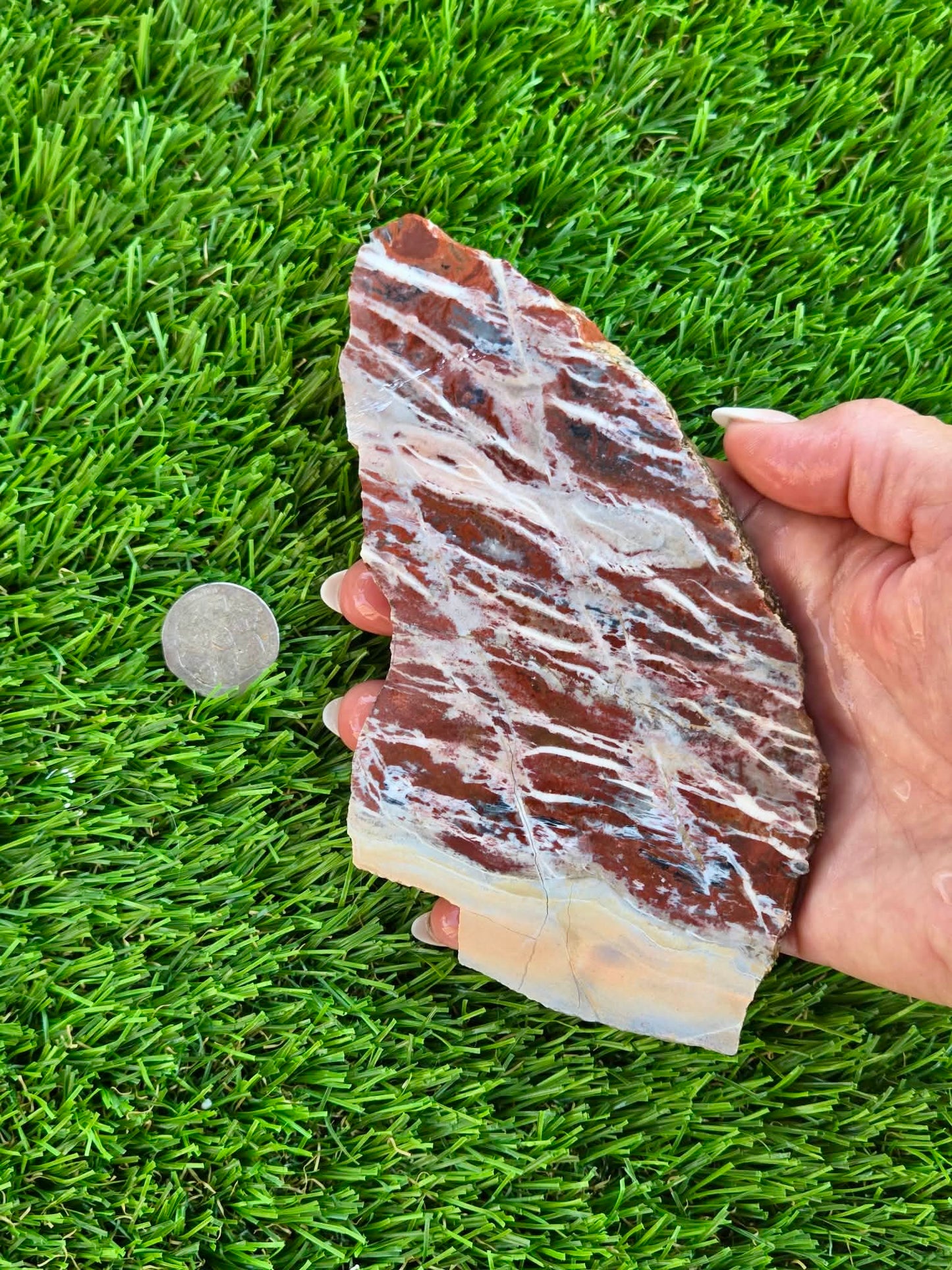 Red Creek Brecciated Jasper Slabs L548-552