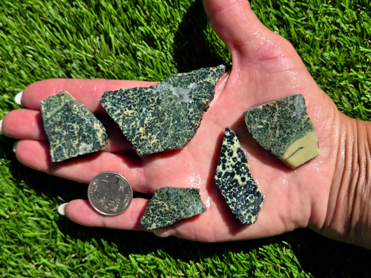 Spotted Jasper – Dalmatian-Type Slab Bundle SB132