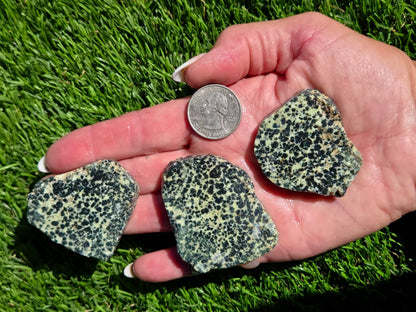 Spotted Jasper – Dalmatian-Type Slab Bundle SB131