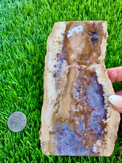 Purple Burro Creek Agate Slab 270-274