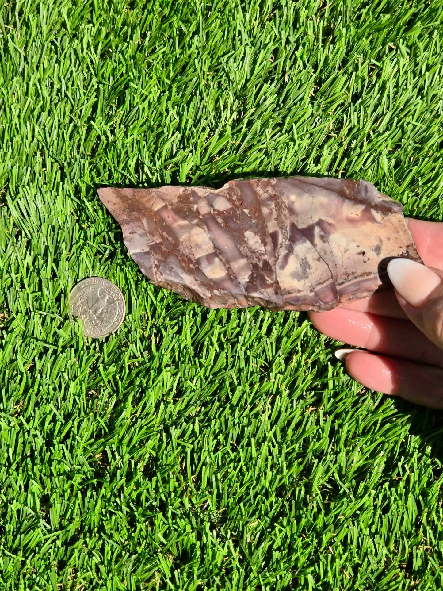 Picasso Jasper Slabs J497-502