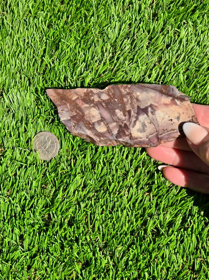 Picasso Jasper Slabs J497-502