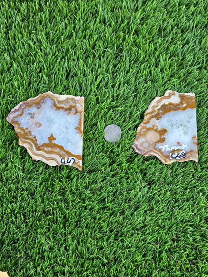 Natural Banded Fortification Agate Slabs N667-668