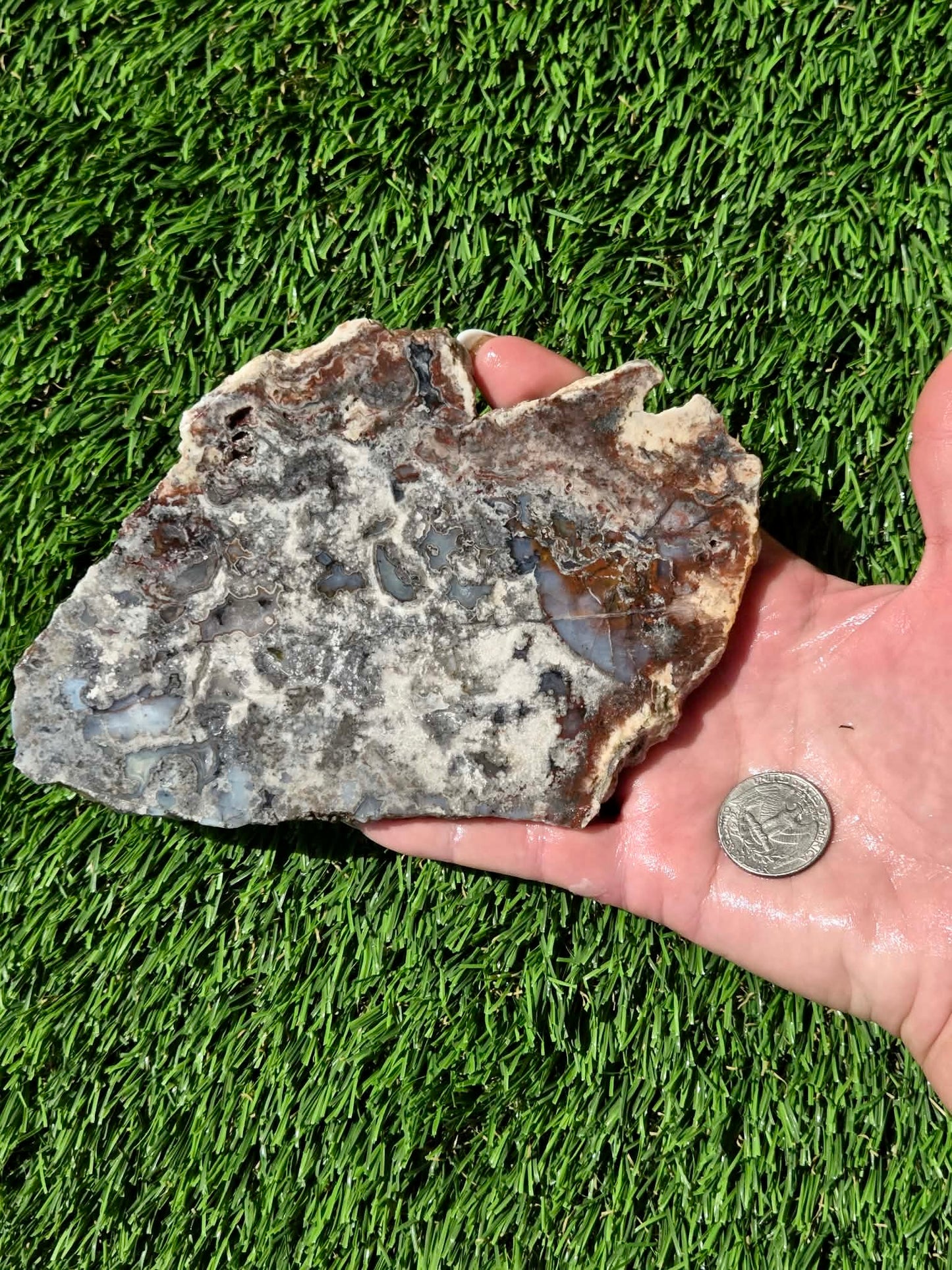 Camp Verde Agate Slabs R848–851