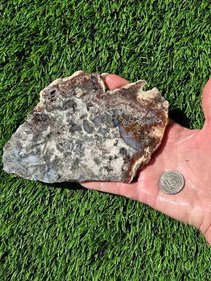 Camp Verde Agate Slabs R848–851