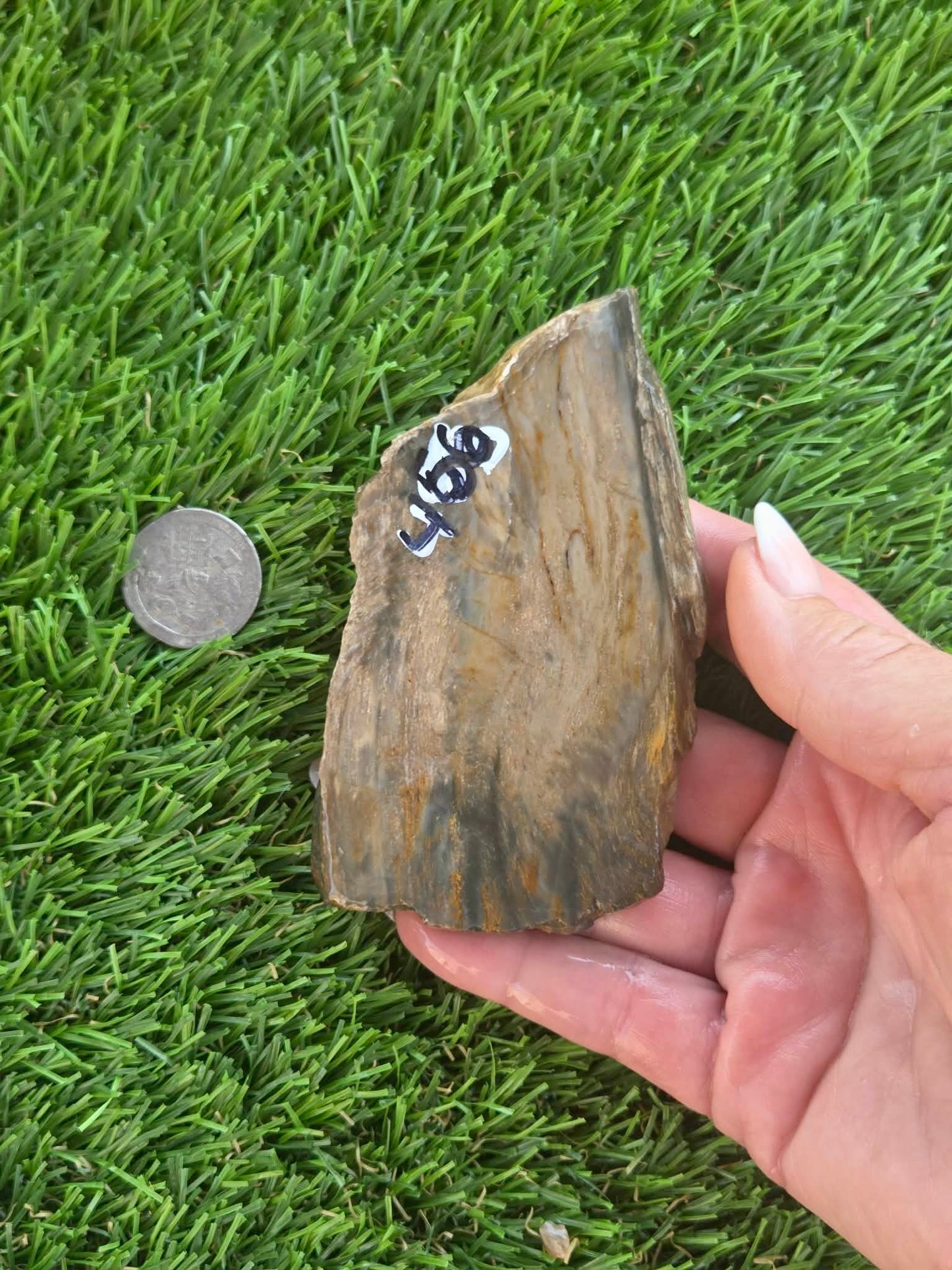 Agatized Petrified Wood Slab I453-458