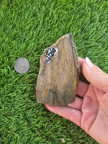 Agatized Petrified Wood Slab I453-458