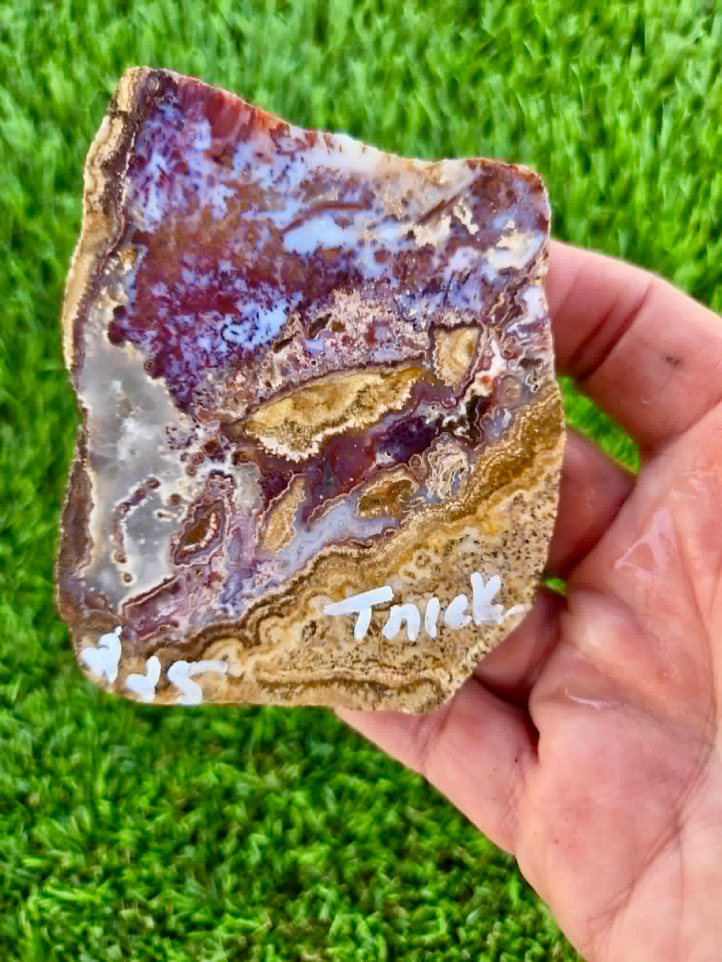 Camp Verde Agate Slab 225-231