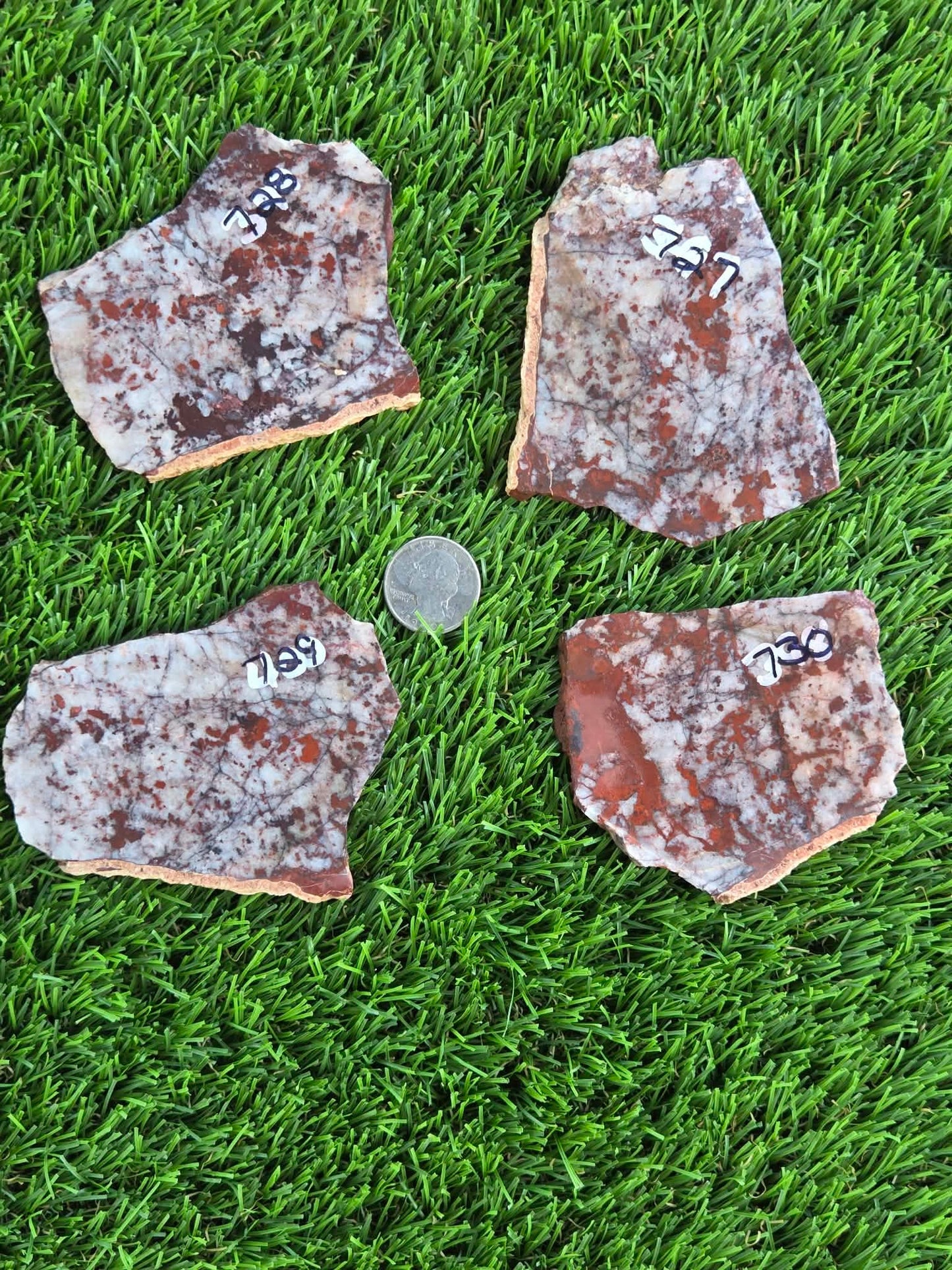 Brecciated Red Jasper with Quartz Slabs O727–730
