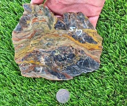 Rainbow Petrified Wood Slabs K516-517